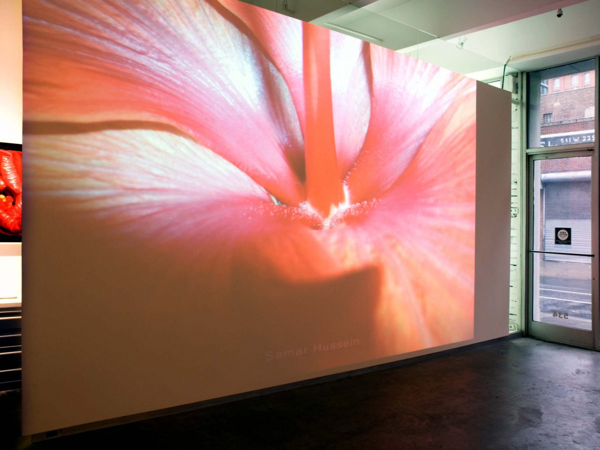 <em>Samar Hussein</em>, 2009<br>
Video and sound installation<br>
Installation view, Carolina Nitsch Project Room, New York<br>